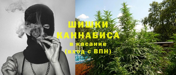 стаф Коряжма