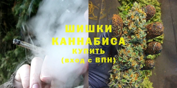 стаф Коряжма