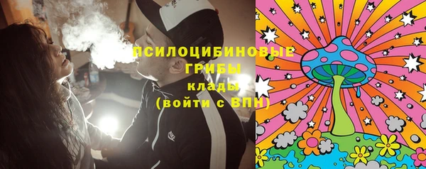 стаф Коряжма