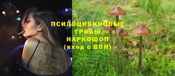 стаф Коряжма