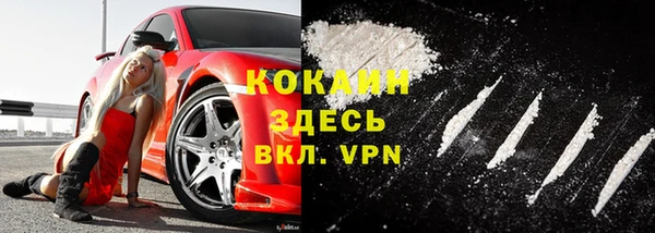 стаф Коряжма